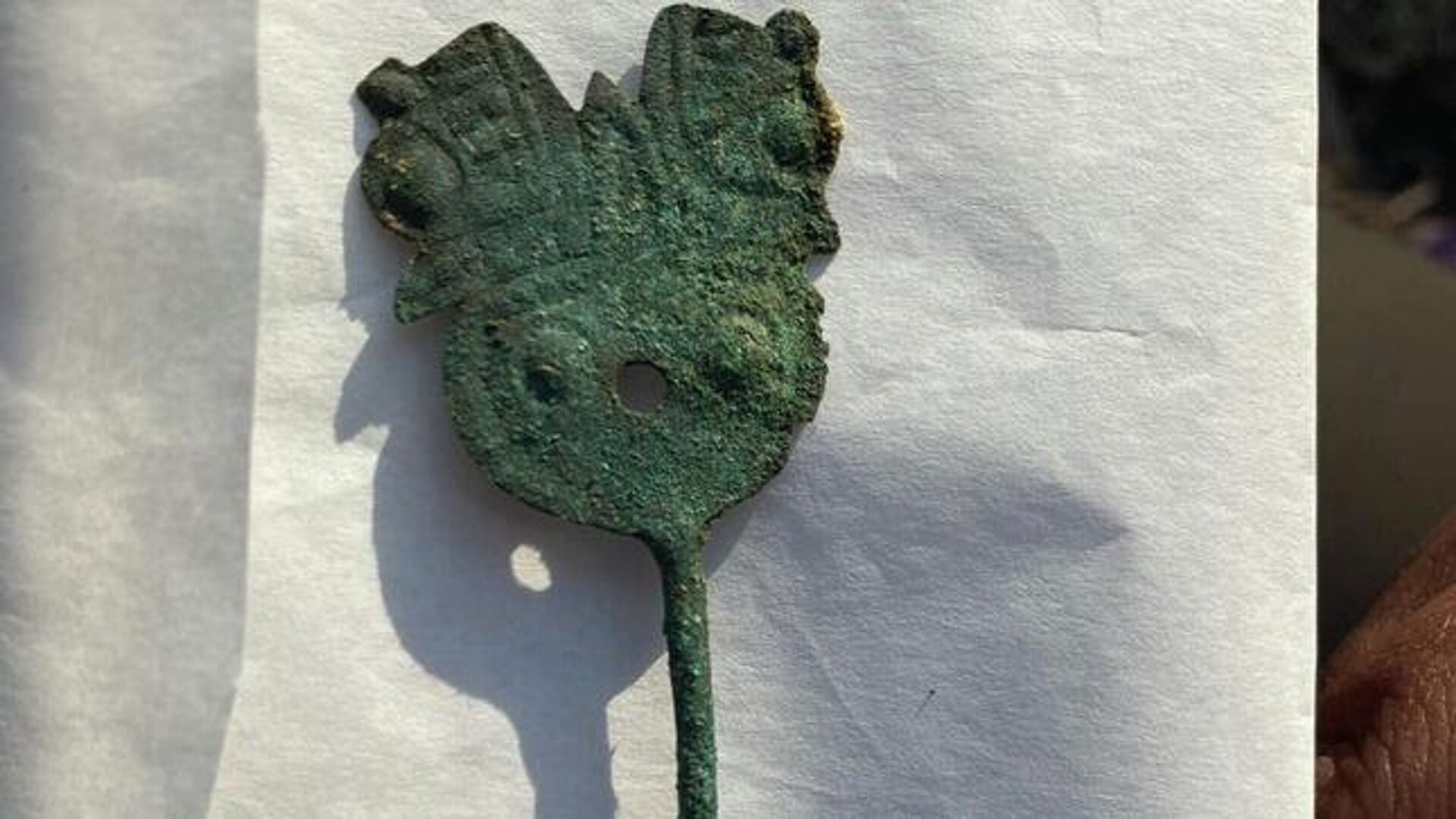 Artefato encontrado entre Restos de ossos de crianças na colina Santa Apolonia, Peru - Sputnik Brasil, 1920, 19.09.2022
