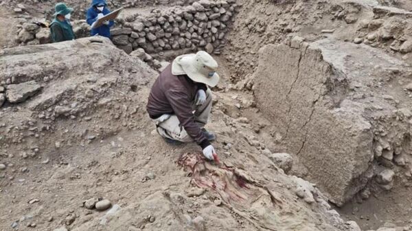 Múmia descoberta em Huaca Tres Palos, Parque das Lendas, Lima, Peru - Sputnik Brasil