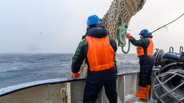 Pescadores usam uma rede de pesca perto das Ilhas Curilas - Sputnik Brasil