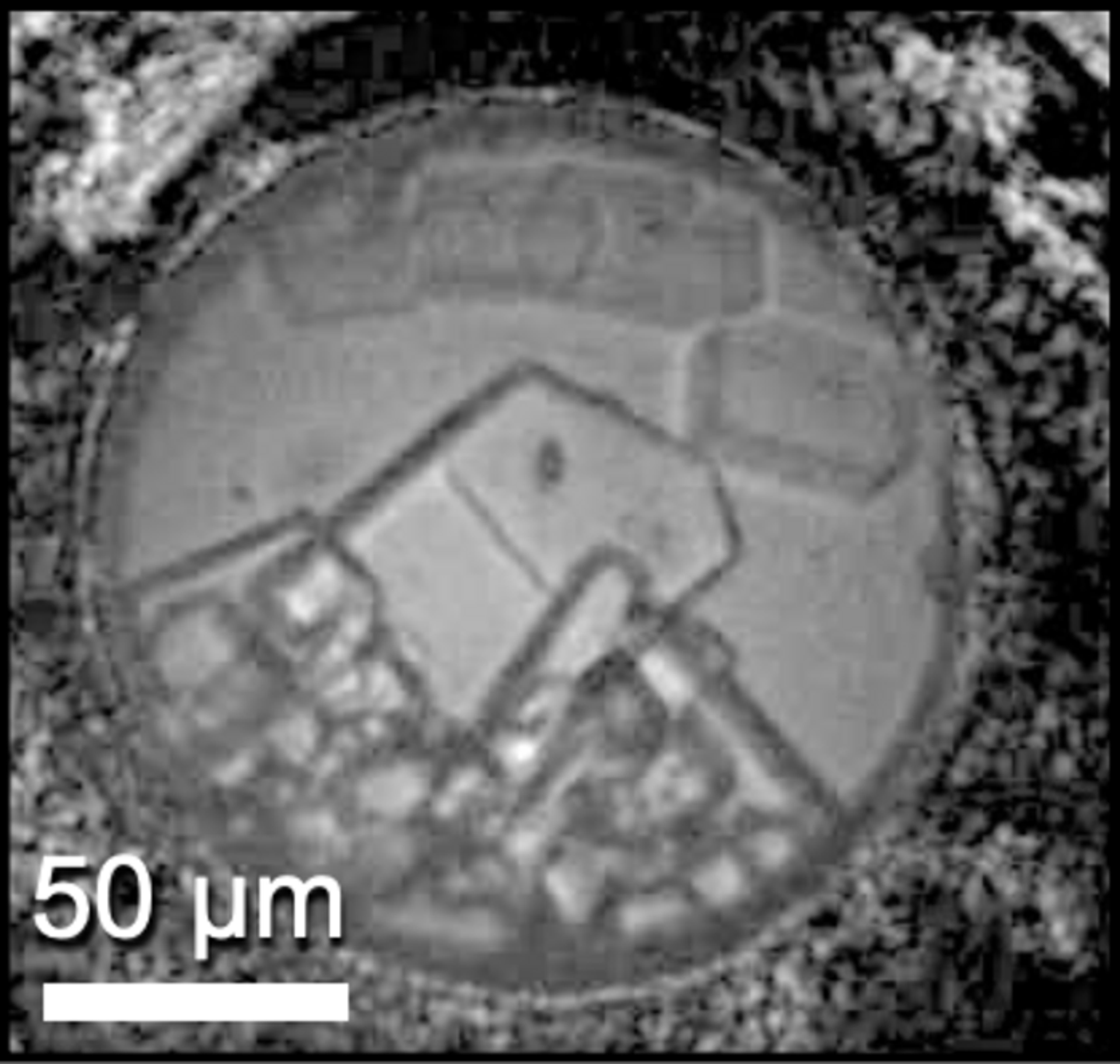 Esta imagem mostra o hidrato recém-descoberto que tem duas moléculas de cloreto de sódio para cada 17 moléculas de água. Este cristal foi formado em alta pressão, mas permanece estável em condições de frio e baixa pressão - Sputnik Brasil, 1920, 21.02.2023