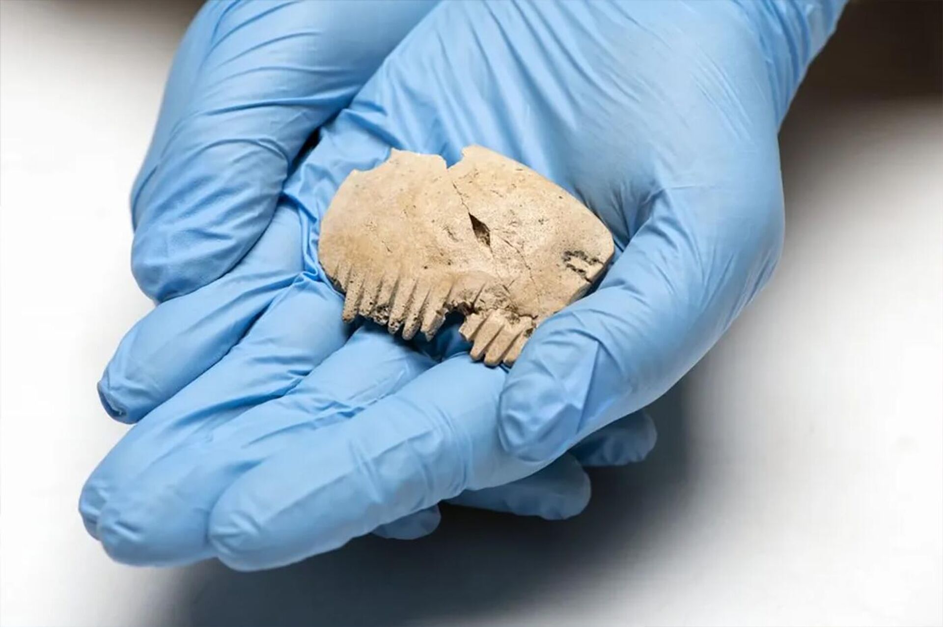 Um pente da Idade do Ferro feito de crânio humano foi encontrado na vila de Bar Hill, perto de Cambridge, no Reino Unido - Sputnik Brasil, 1920, 02.03.2023