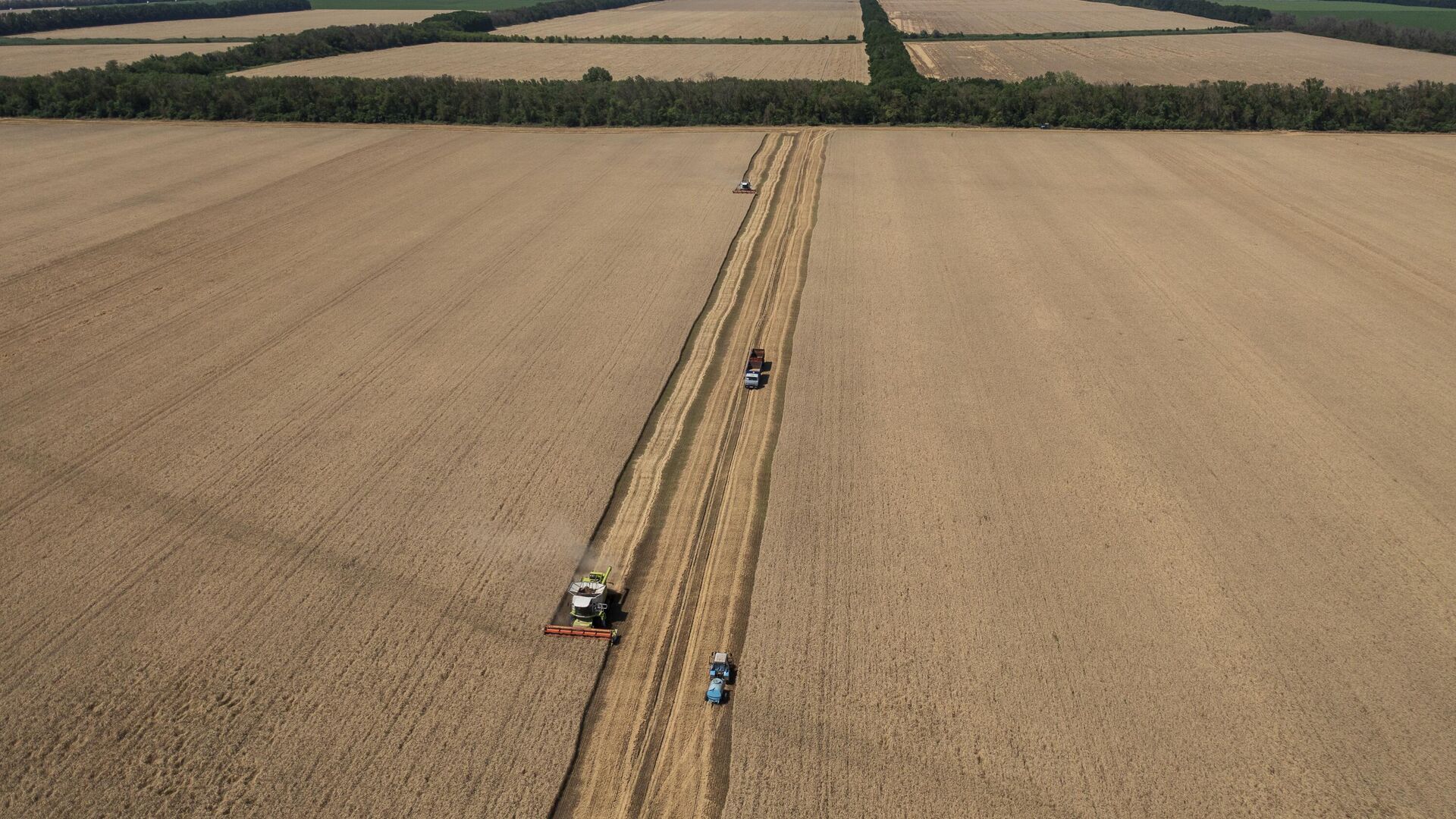 Ceifeiras coletam trigo em um campo na região de Krasnodar, sul da Rússia, na sexta-feira, 1º de julho de 2022. A Rússia é o maior exportador mundial de trigo, sendo responsável por quase um quinto dos fornecimentos globais. Espera-se que este ano ela tenha uma de suas melhores épocas de colheita de todos os tempos. A agricultura está entre as atividades mais importantes da Rússia, respondendo por cerca de 4% de seu PIB, de acordo com o Banco Mundial. - Sputnik Brasil, 1920, 14.06.2023