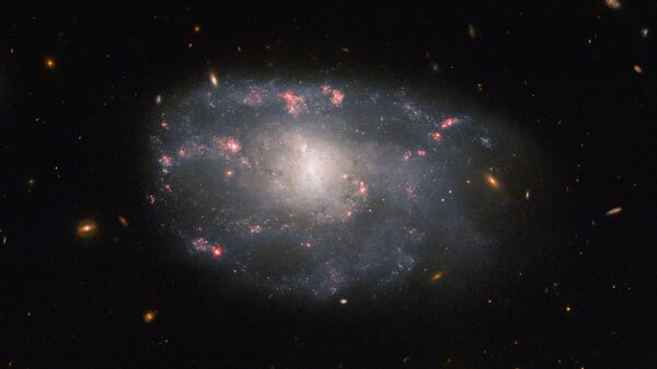 O Telescópio Espacial Hubble da NASA registrou uma imagem da galáxia espiral irregular NGC 5486, localizada na direção da Ursa Branca, a uma distância de 110 anos-luz da Terra - Sputnik Brasil