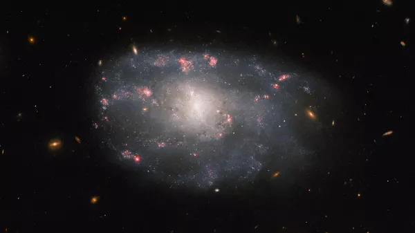 O Telescópio Espacial Hubble da NASA registrou uma imagem da galáxia espiral irregular NGC 5486, localizada na direção da Ursa Branca, a uma distância de 110 anos-luz da Terra - Sputnik Brasil