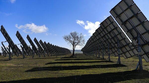 Árvore cercada por painéis solares em Los Arcos, província de Navarra, norte da Espanha, 24 de fevereiro de 2023 - Sputnik Brasil