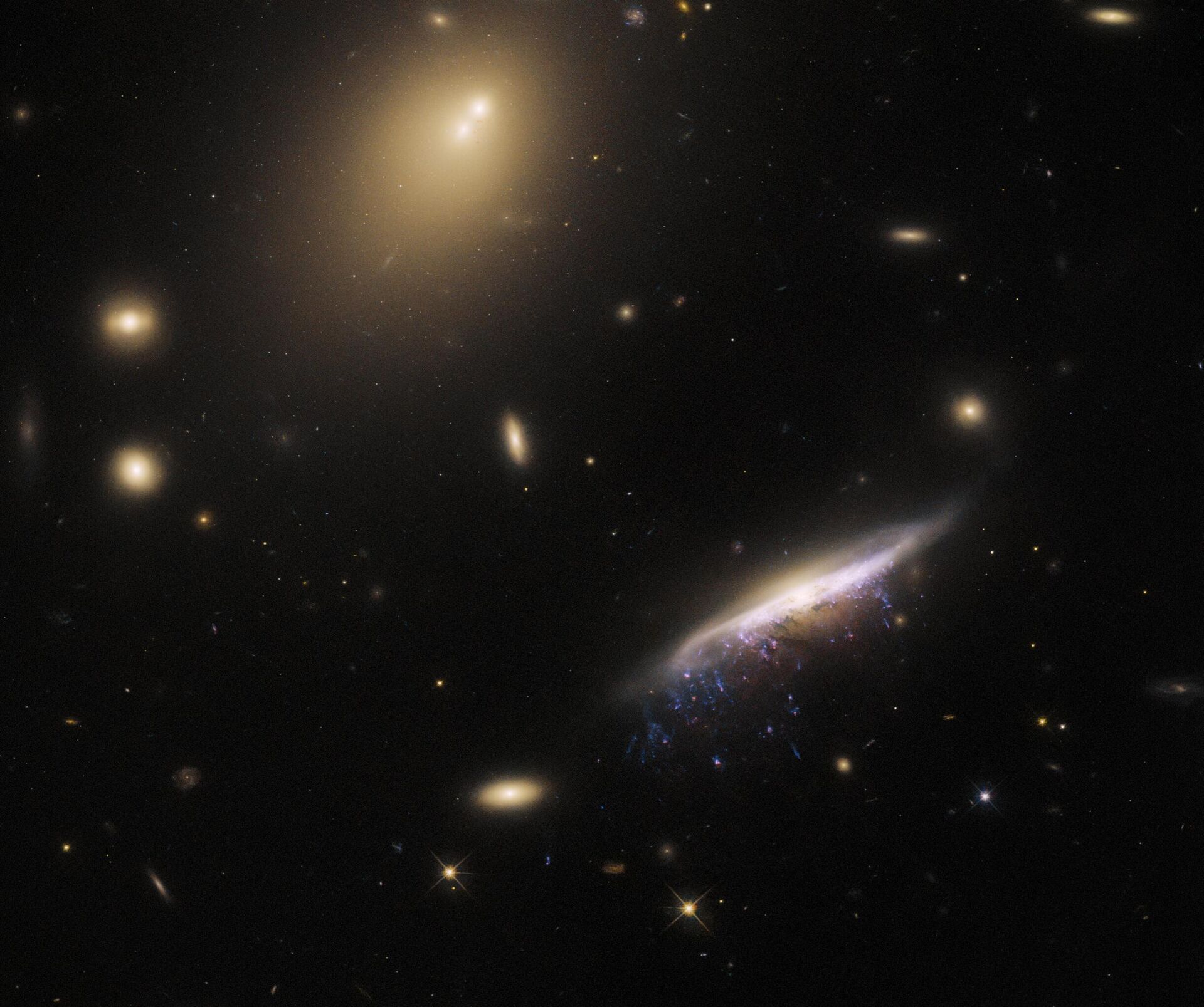 O Telescópio Espacial Hubble registrou a imagem de uma galáxia medusa, também conhecida como sistema estelar JW100, localizada na constelação de Pegasus, a 800 milhões de anos-luz da Terra - Sputnik Brasil, 1920, 26.03.2023