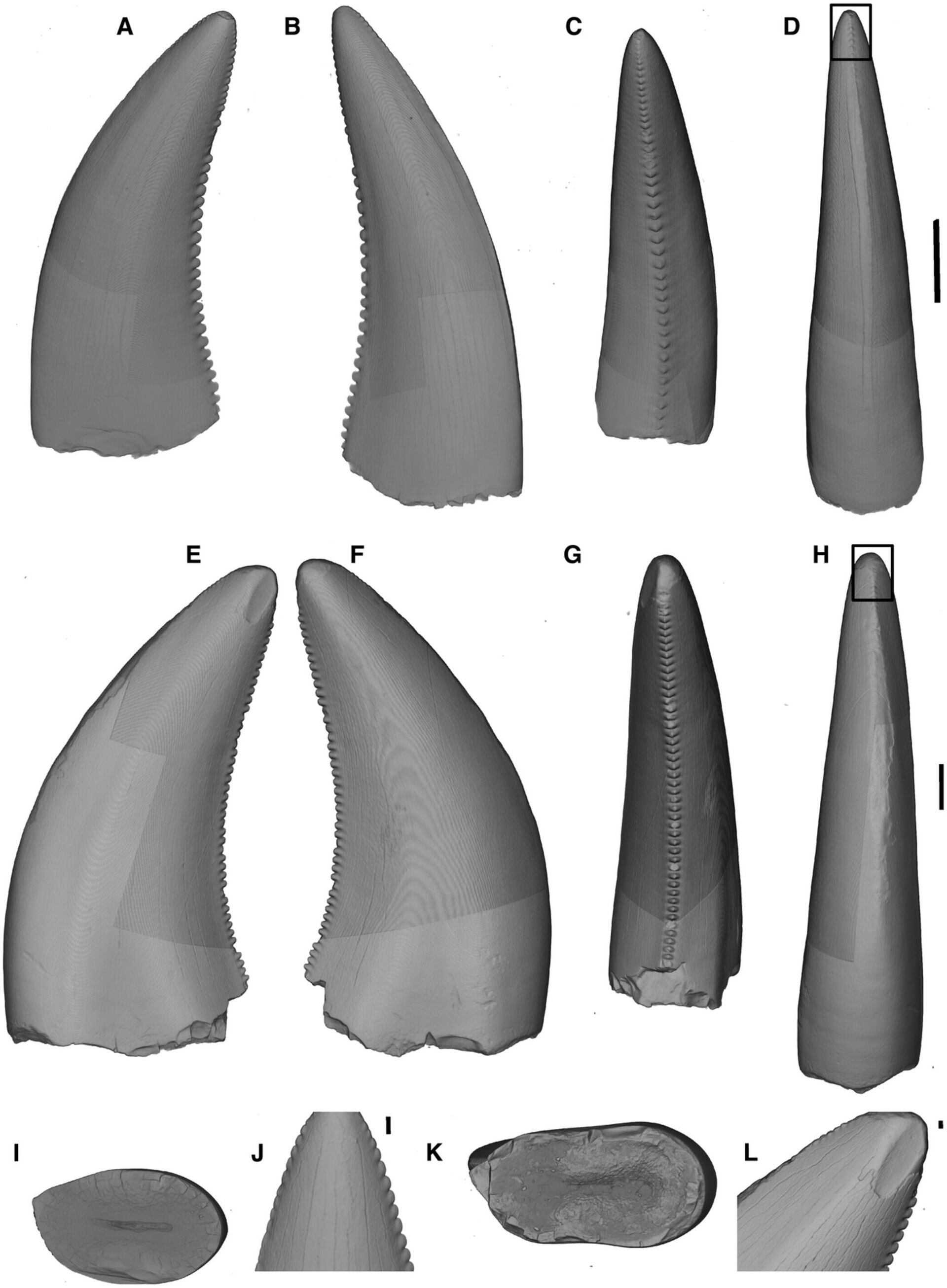 IA descobre fósseis de misteriosos dentes do dinossauro mais antigo do Reino Unido - Sputnik Brasil, 1920, 16.04.2023