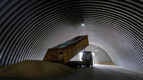 Um caminhão de carga descarrega grãos em um celeiro na vila de Zgurovka, Ucrânia, 9 de agosto de 2022 - Sputnik Brasil