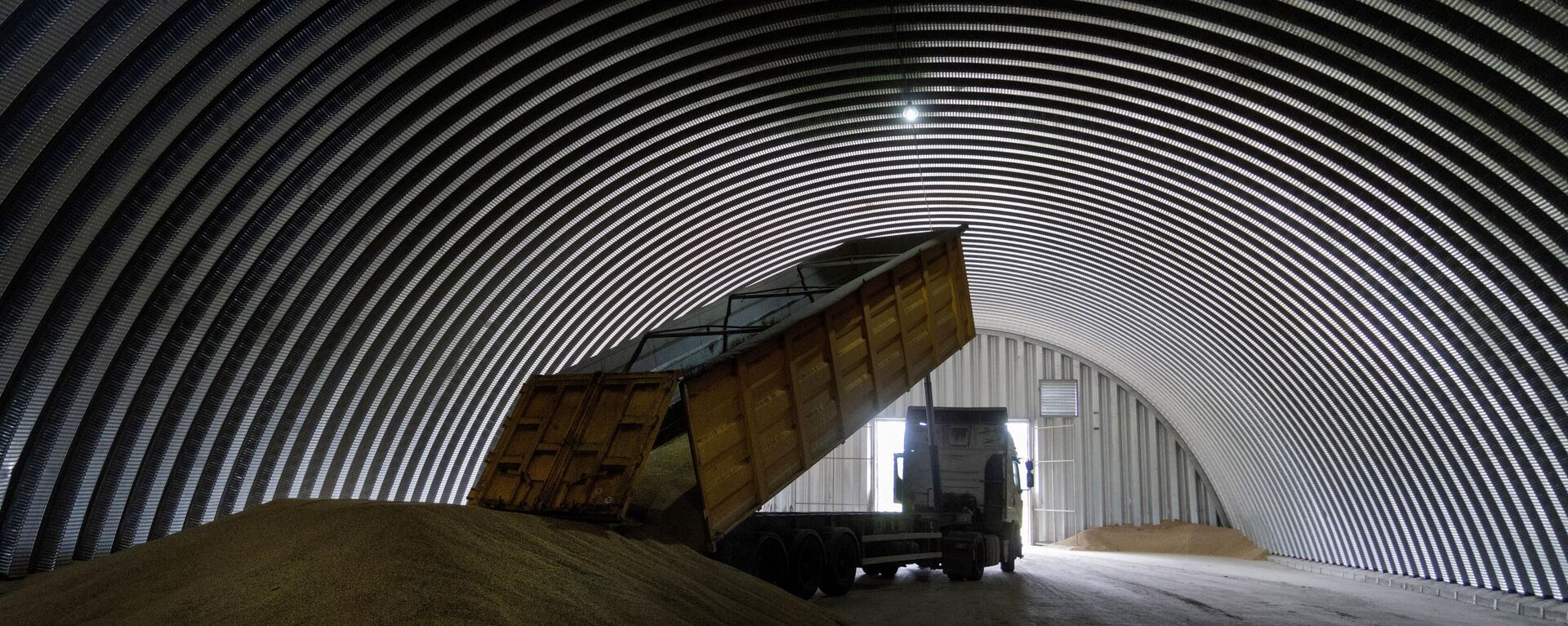 Um caminhão de carga descarrega grãos em um celeiro na vila de Zgurovka, Ucrânia, 9 de agosto de 2022 - Sputnik Brasil, 1920, 12.11.2023