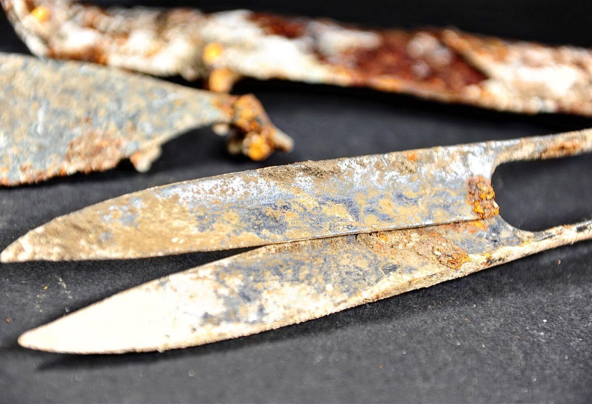 Espada e tesoura de 2.300 anos são encontradas em túmulos celtas na Alemanha - Sputnik Brasil, 1920, 30.04.2023