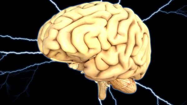 Cérebro humano (imagem de referência) - Sputnik Brasil
