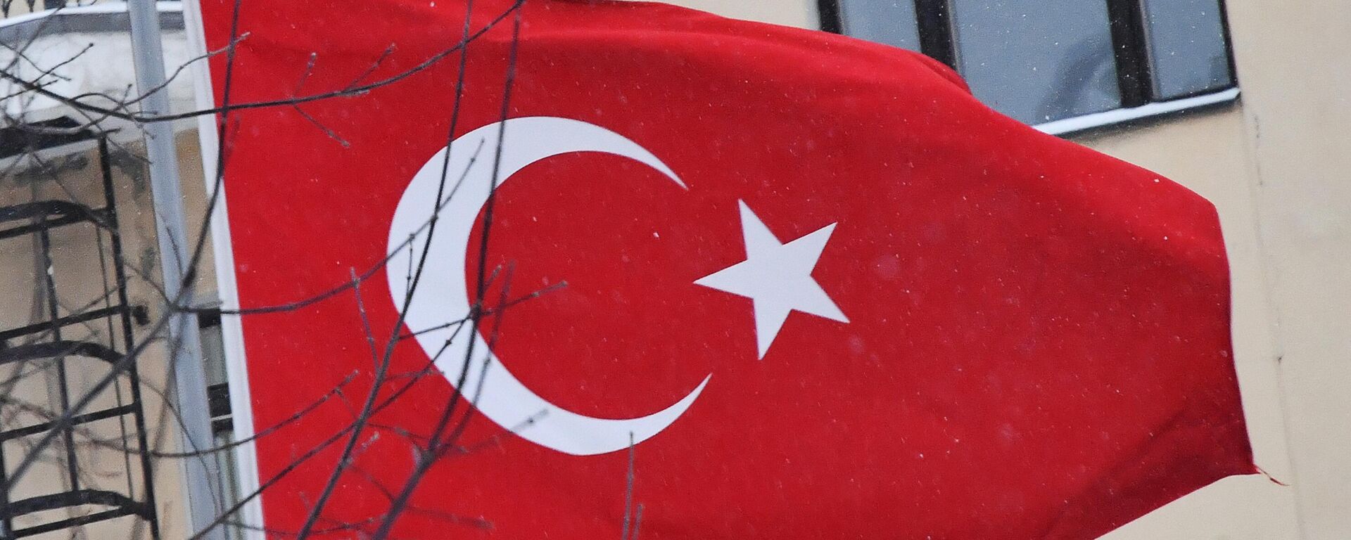 Bandeira turca - Sputnik Brasil, 1920, 01.06.2024