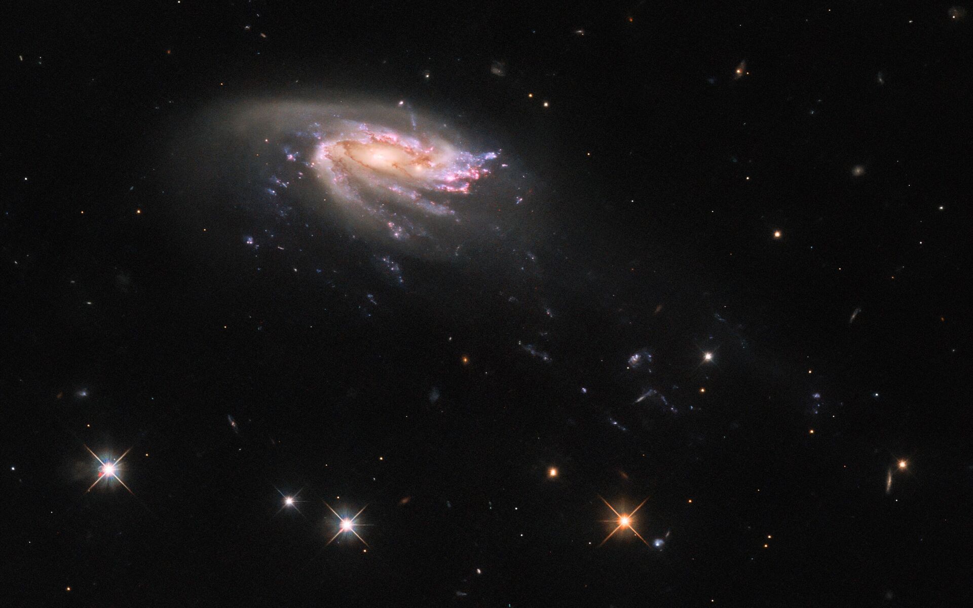 O Telescópio Espacial Hubble registrou uma nova imagem da galáxia água-viva JO206, mostrando um disco colorido de formação estelar cercado por uma pálida e brilhante nuvem de poeira - Sputnik Brasil, 1920, 06.06.2023