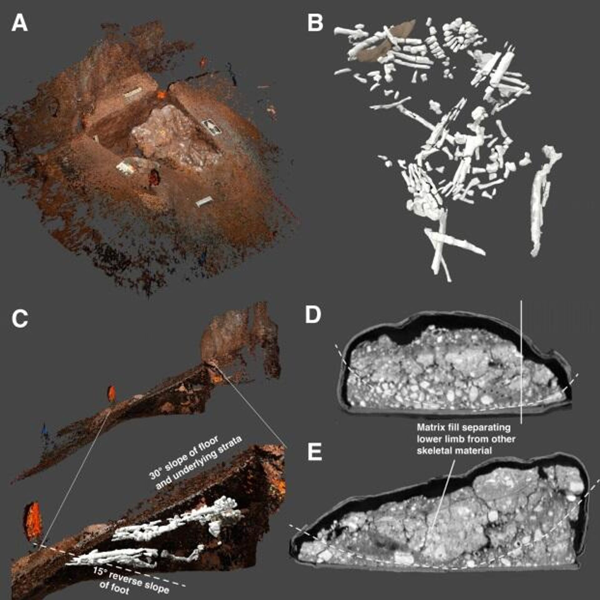 Os especialistas, liderados pelo paleontólogo Lee Berger, afirmaram ter descoberto diversos espécimes de homo naledi, um hominídeo da Idade da Pedra, enterrados a aproximadamente 30 metros em um sistema de cavernas no sítio com fósseis de hominídeos de Sterkfontein - Sputnik Brasil, 1920, 08.06.2023