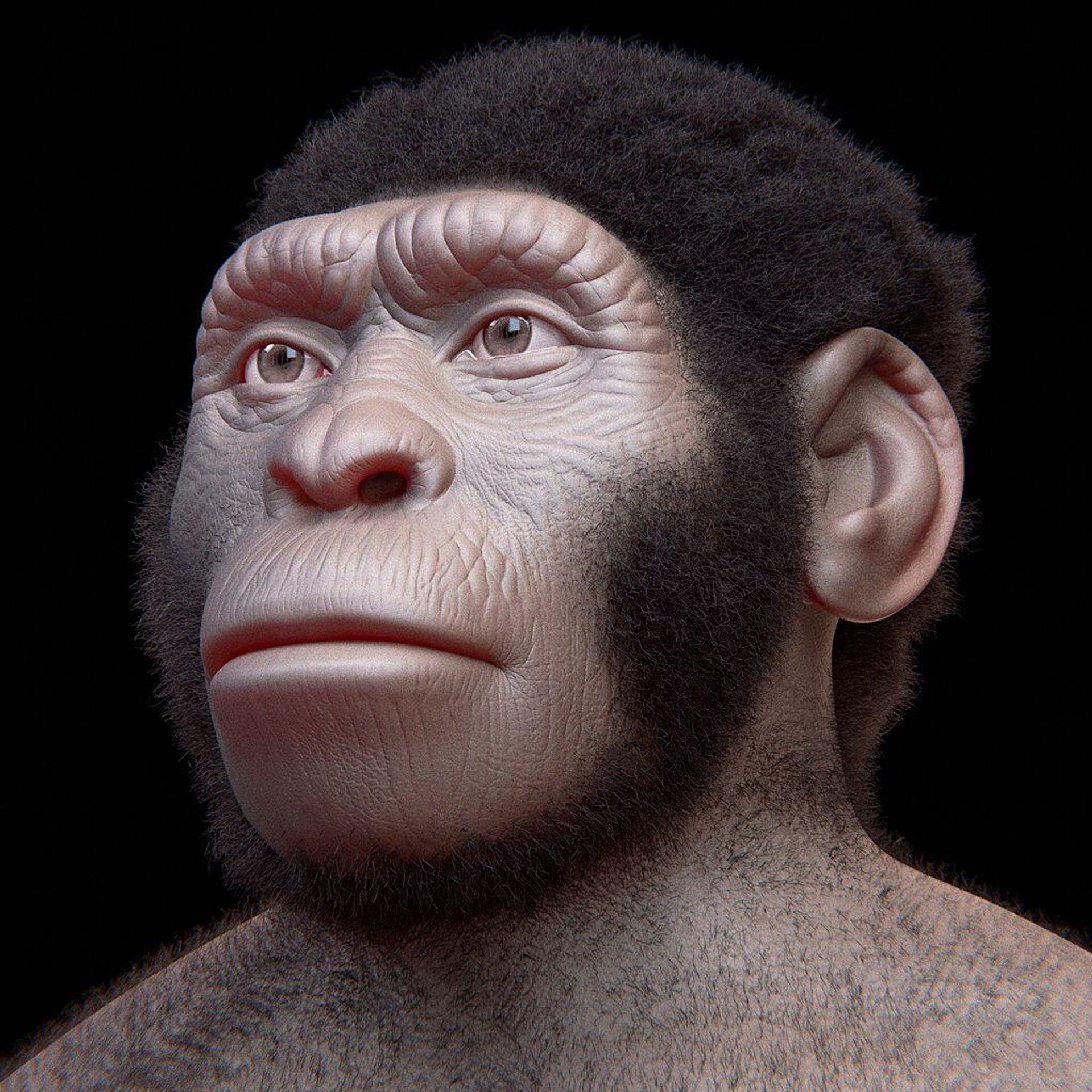 Reconstrução facial do Homo naledi - Sputnik Brasil, 1920, 08.06.2023