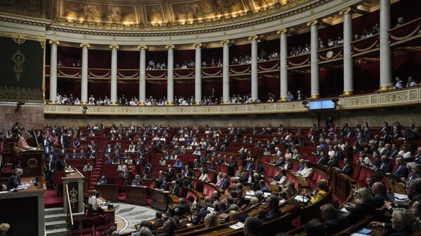 Membros do Parlamento debatem na Assembleia Nacional, quinta-feira, 8 de junho de 2023 em Paris - Sputnik Brasil