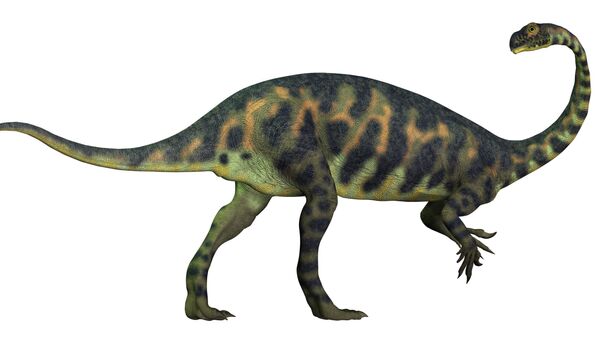 Dinossauro herbívoro Massospondylus - Sputnik Brasil