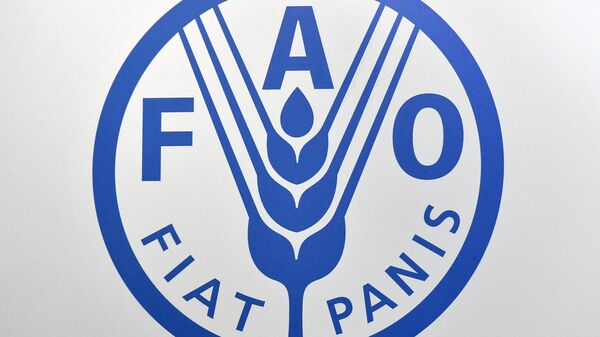 Logotipo da Organização das Nações Unidas para a Alimentação e a Agricultura (FAO, na sigla em inglês), imagem referencial - Sputnik Brasil