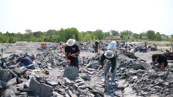 Paleontólogos em Penn Dixie Fossil Park & Nature Reserve. - Sputnik Brasil