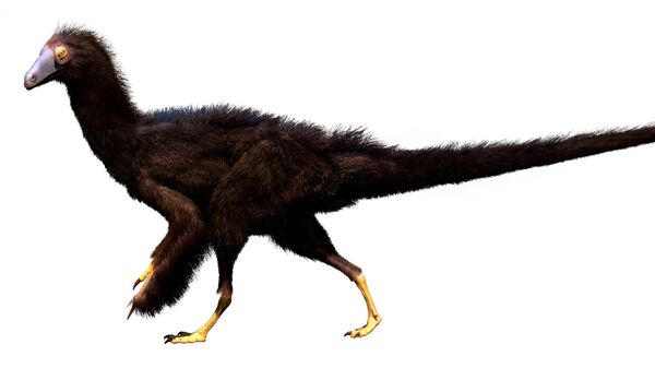 Reconstrução do dinossauro terópode Fukuivenator paradoxus, um táxon irmão de Migmanychion laiyang - Sputnik Brasil