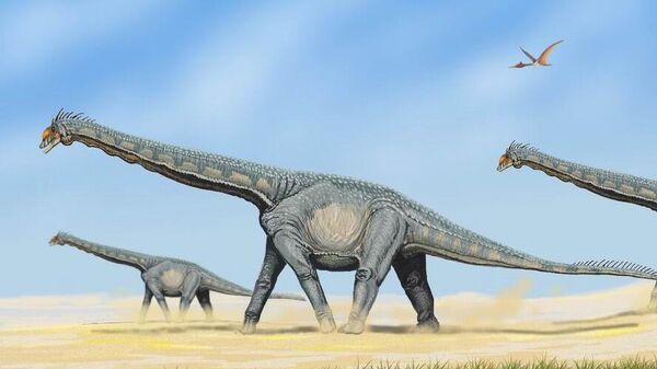 Saurópodes, que foram os animais mais massivos que já vagaram pela Terra - Sputnik Brasil