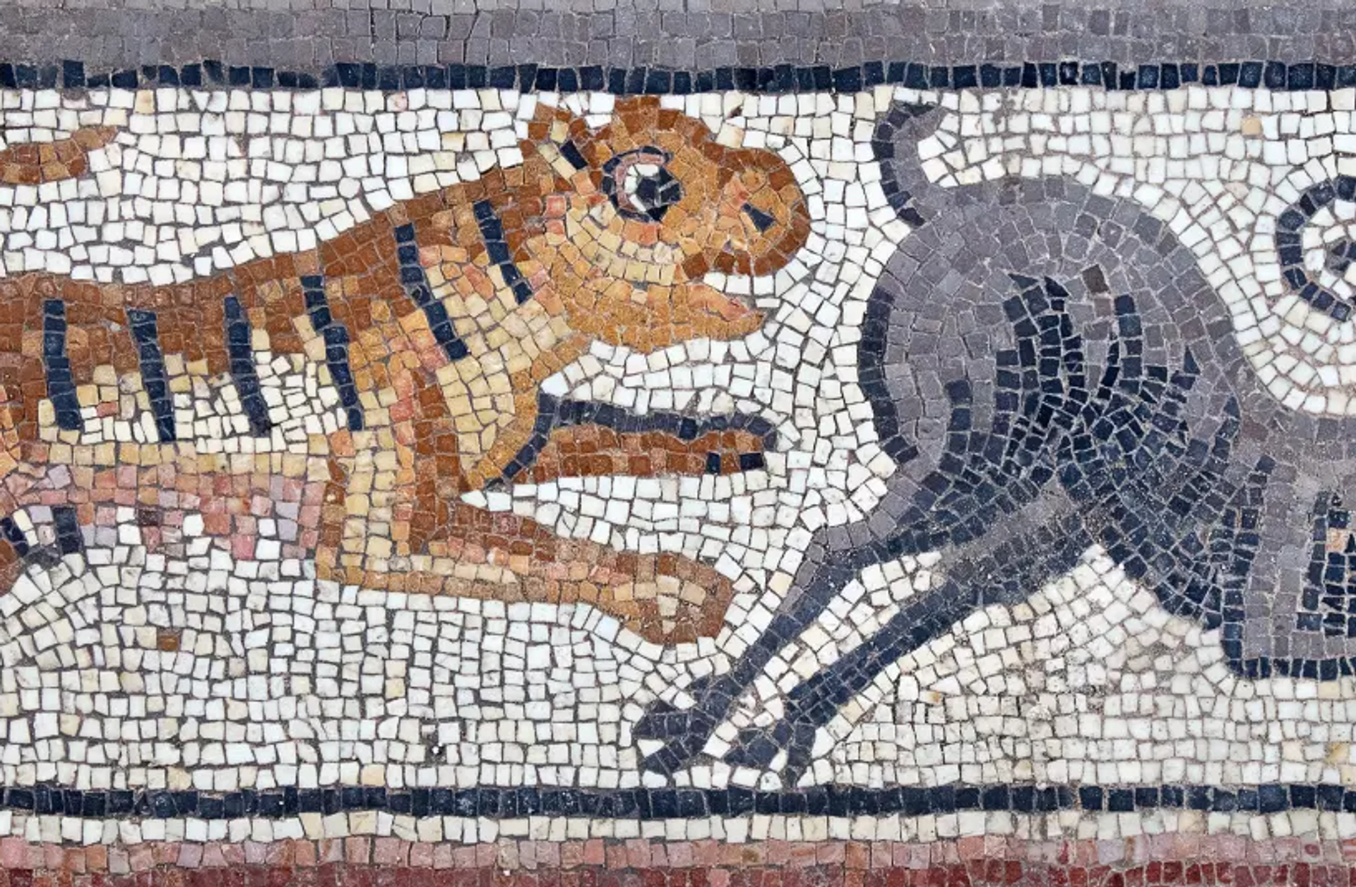 Cena do mosaico mostrando um tigre perseguindo um íbex - Sputnik Brasil, 1920, 11.07.2023