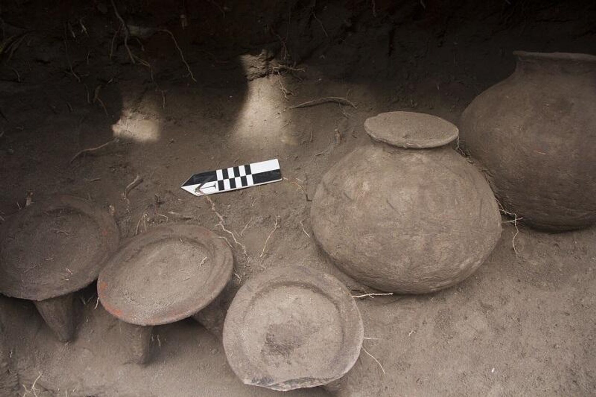 Pelo menos 128 ossadas, vasos e artefatos de pedra e rocha vulcânica foram encontrados na cidade rural de Llano Chico, no nordeste de Quito, no Equador - Sputnik Brasil, 1920, 12.07.2023