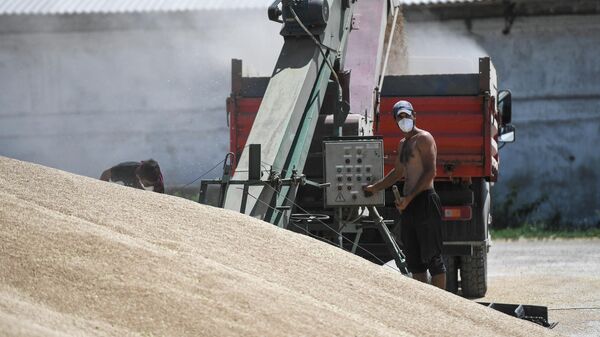 Trabalhador manuseia grãos em um terminal de grãos no distrito de Krasnogvardeysky, na Crimeia, Rússia, foto publicada em 7 de julho de 2023 - Sputnik Brasil