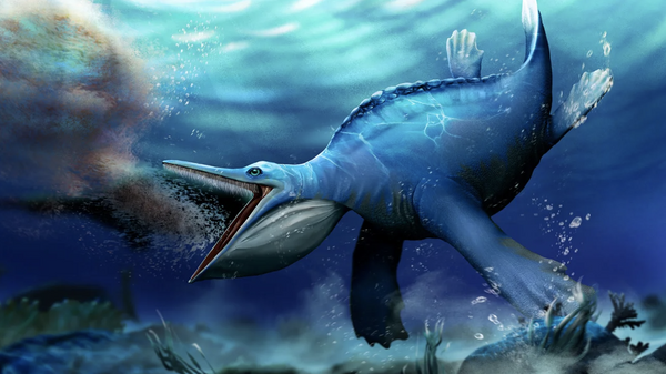 Uma ilustração de artista retrata Hupehsuchus pouco antes de engolir um cardume de camarões - Sputnik Brasil