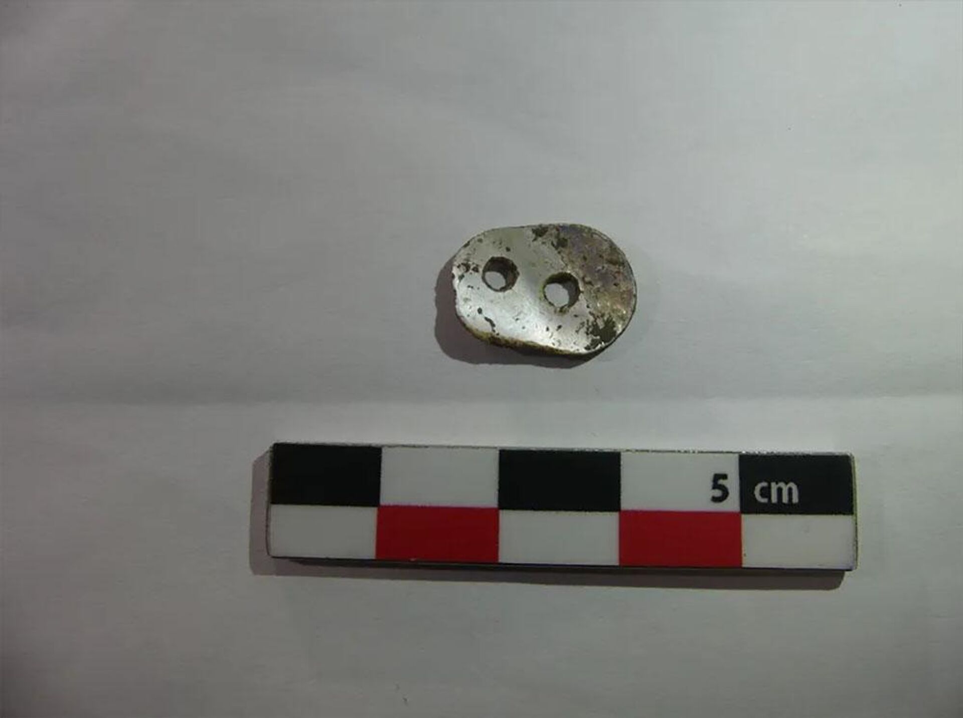 O botão madrepérola encontrado em um sítio neolítico em Mare de Saint-Gond, na França - Sputnik Brasil, 1920, 30.08.2023