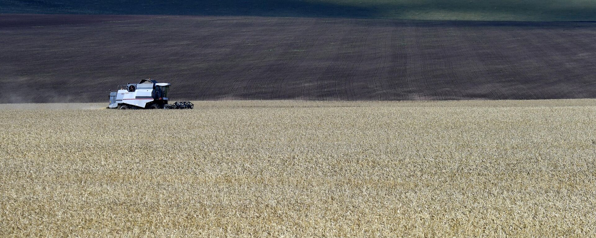 Colheitadeira colhe trigo perto do vilarejo de Tolstoy Mys, no distrito de Novosyolovsky, região de Krasnoyarsk, Rússia, foto publicada em 11 de setembro de 2023 - Sputnik Brasil, 1920, 17.09.2023