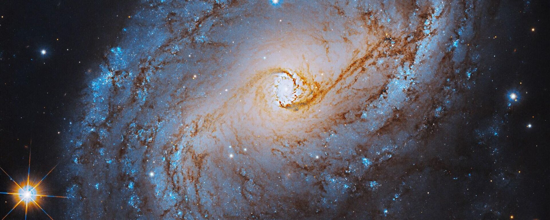 A imagem registrada pelo Telescópio Hubble da NASA mostra a galáxia Seyfert NGC 6951, localizada a 75 mil anos-luz da Terra, na constelação de Cepheus - Sputnik Brasil, 1920, 05.09.2025