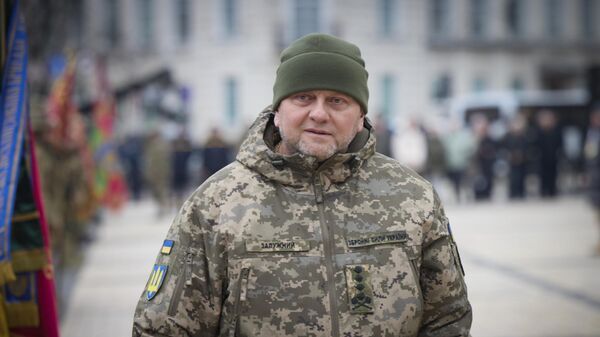 Valery Zaluzhny, comandante em chefe das Forças Armadas da Ucrânia, em 24 de fevereiro de 2023 - Sputnik Brasil