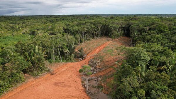 Vista aérea do início do trecho da rodovia AM 366, ao lado do aeroporto de Tapauá. Amazonas, 3 de junho de 2023 - Sputnik Brasil