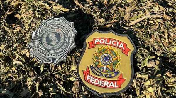 Emblemas da Polícia Federal (PF) e da Secretaria Nacional Antidrogas (SENAD), do Paraguai, dispostas sobre uma grande quantidade de maconha, na ocasião da destruição de cerca de 3.800 toneladas da droga, em dezembro de 2023 - Sputnik Brasil