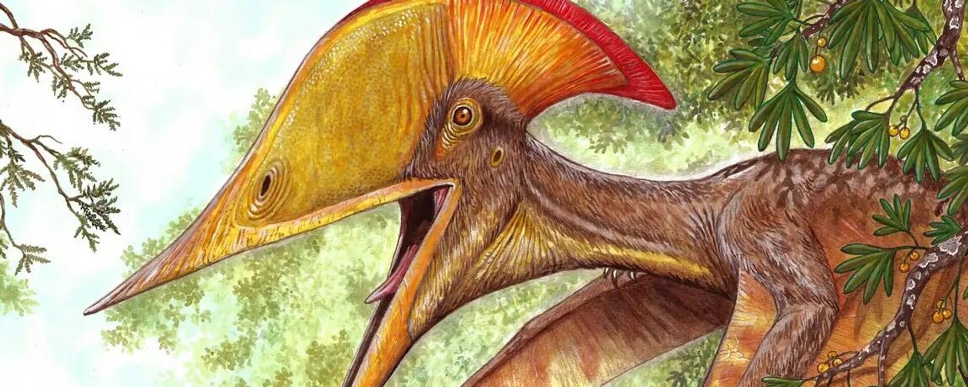 Nova espécie de pterossauro, Meilifeilong youhao, descoberta por cientistas brasileiros e chineses - Sputnik Brasil, 1920, 21.12.2023