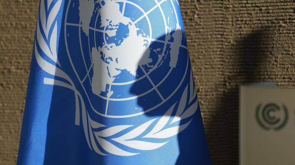 Bandeira da Organização das Nações Unidas (ONU) na Conferência das Nações Unidas sobre as Mudanças Climáticas de 2023 (COP28), em Dubai, nos Emirados Árabes Unidos, em 11 de dezembro de 2023 - Sputnik Brasil