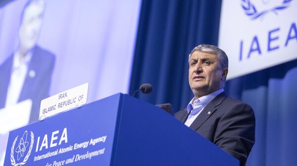 O chefe da Organização de Energia Atômica do Irã, Mohammad Eslami, fala durante a 67ª Conferência Geral da Agência Internacional de Energia Atômica (AIEA), uma reunião anual de todos os estados membros da AIEA, na sede da agência em Viena, Áustria, em 25 de setembro de 2023 - Sputnik Brasil