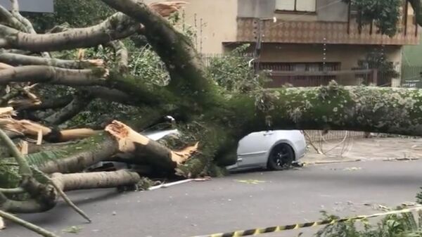 Carro foi destruído por temporal em Porto Alegre - Sputnik Brasil