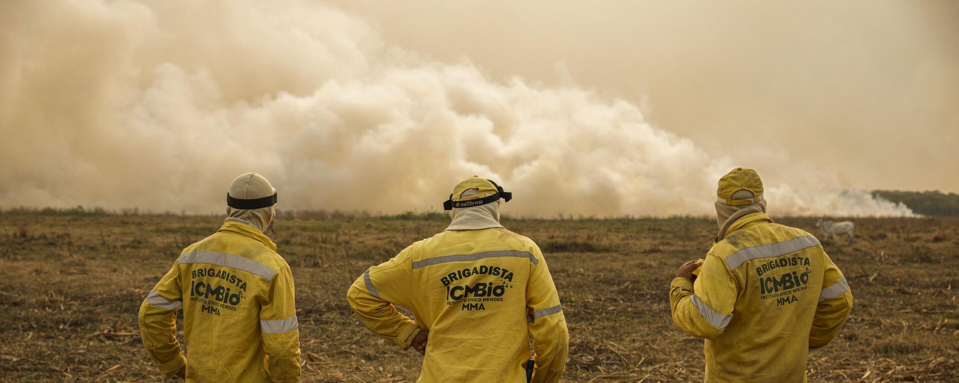 Brigadistas do ICMBio observam cortina de fumaça por conta do incêndio florestal que atinge o Pantanal, em Porto Jofre. Mato Grosso, 19 de novembro de 2023 - Sputnik Brasil, 1920, 24.06.2024