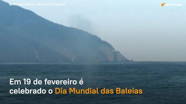 Dia Mundial das Baleias - Sputnik Brasil