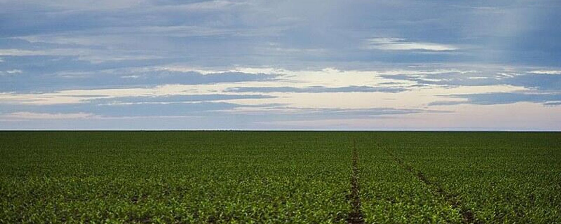 Área de plantação de soja no noroeste do Mato Grosso - Sputnik Brasil, 1920, 15.10.2024