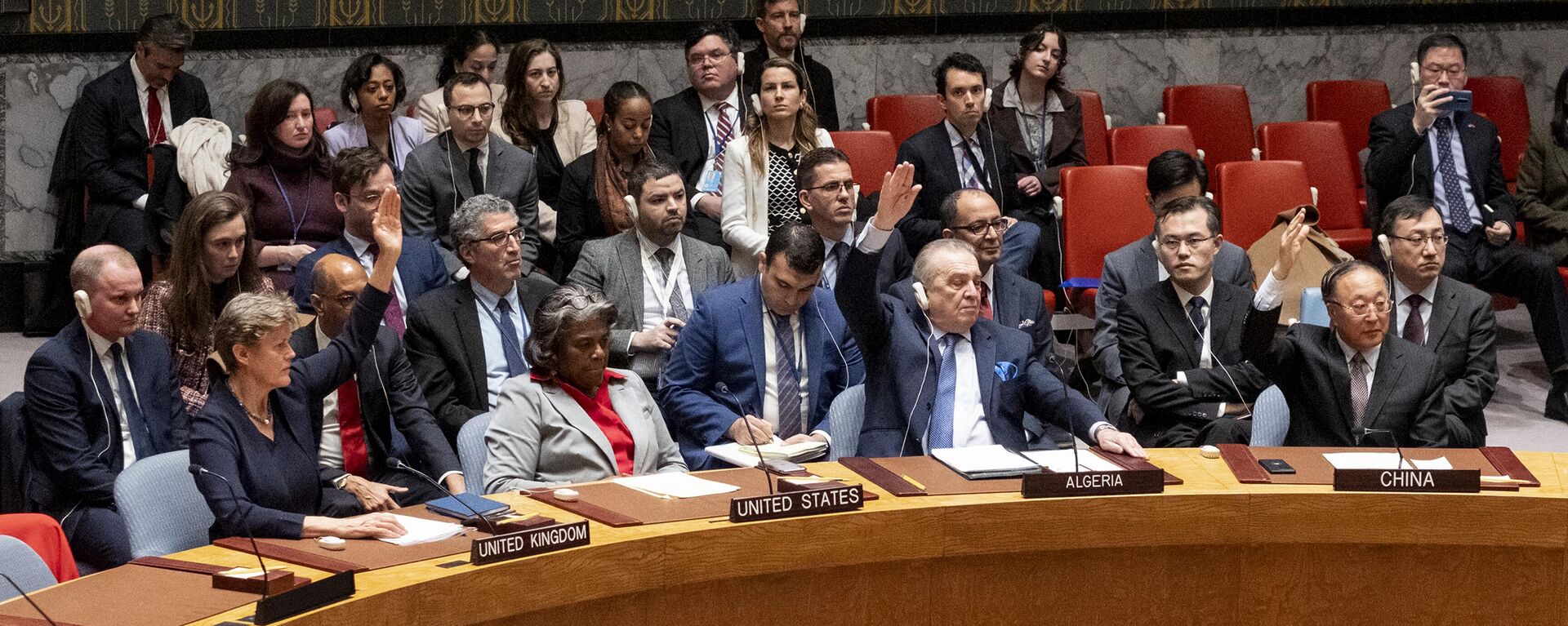 Momento em que Linda Thomas-Greenfield, embaixadora dos Estados Unidos na Organização das Nações Unidas (ONU), é a única a não aprovar a resolução de cessar-fogo na Faixa de Gaza, em 25 de março de 2024 - Sputnik Brasil, 1920, 21.05.2024