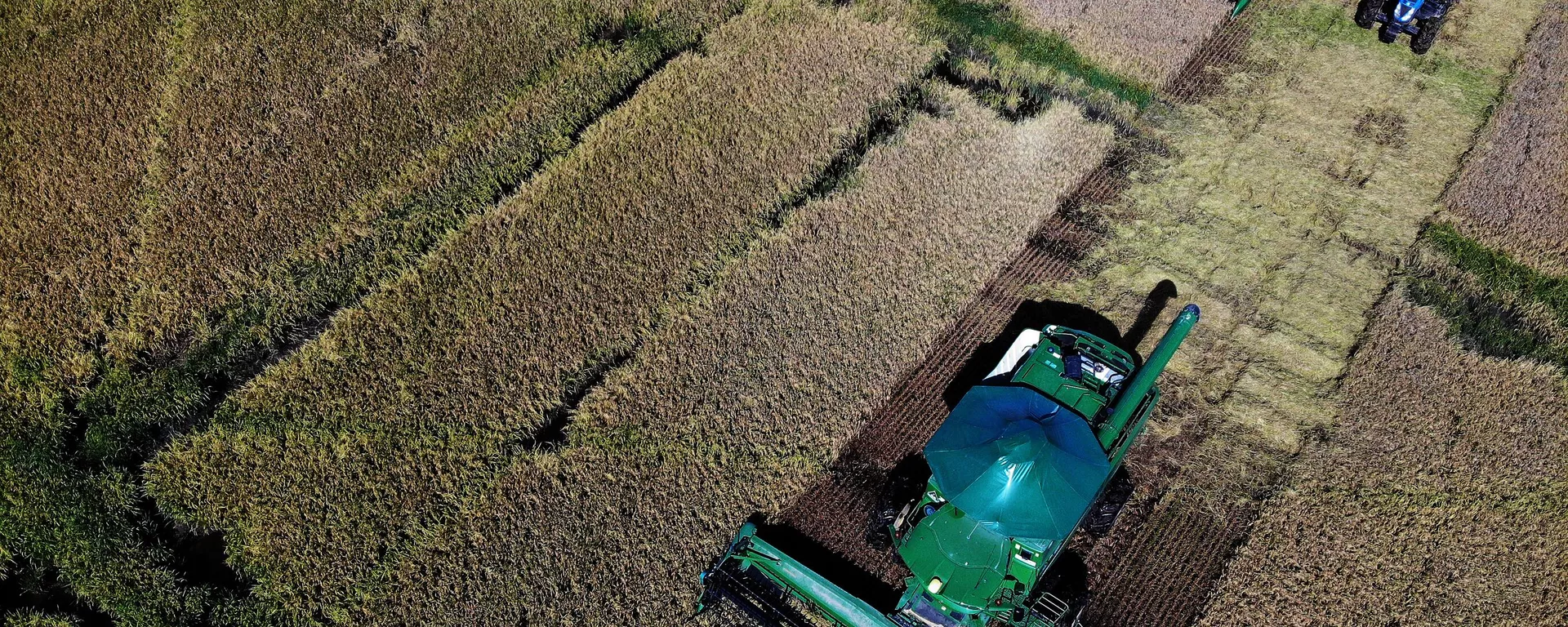 Vista aérea de uma colheita de arroz em Mostardas, Rio Grande do Sul, Brasil, tirada em 11 de março de 2024 - Sputnik Brasil, 1920, 10.04.2024