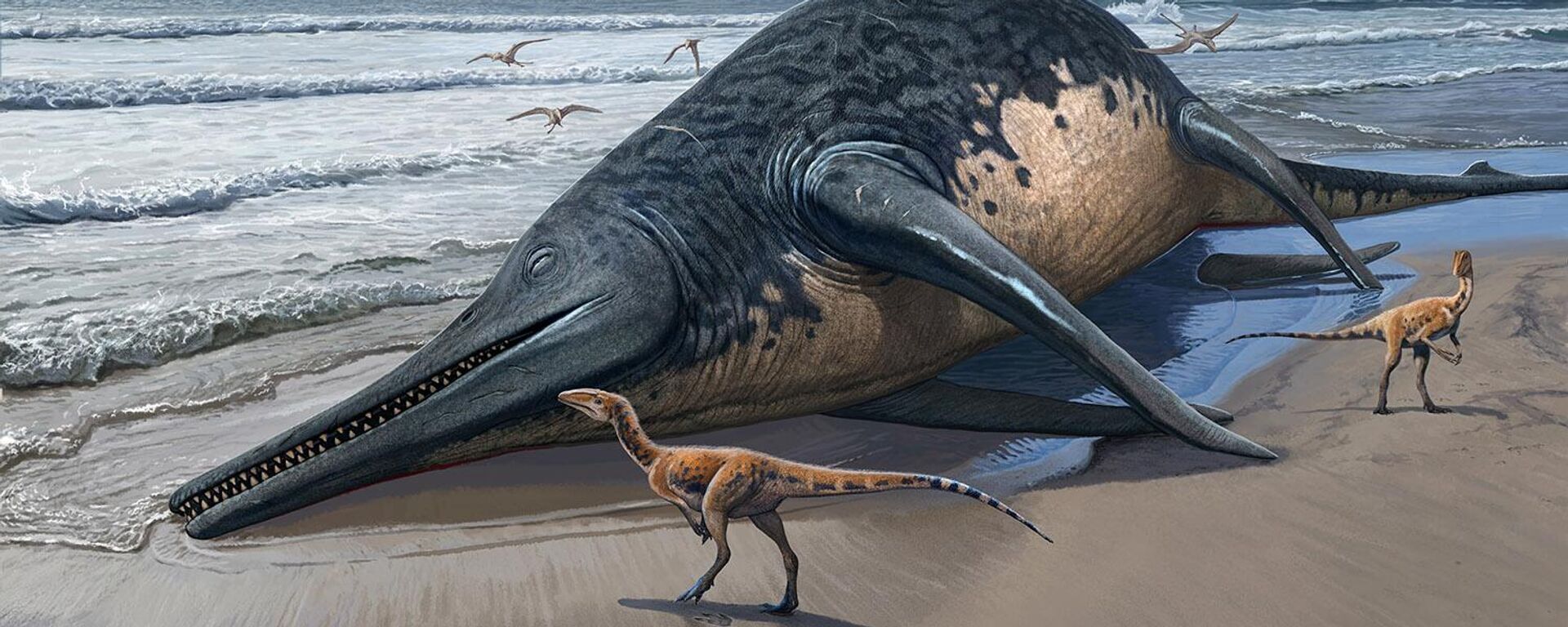 Imagem ilustrativa de um ictiossauro do tamanho de uma baleia - Sputnik Brasil, 1920, 18.04.2024