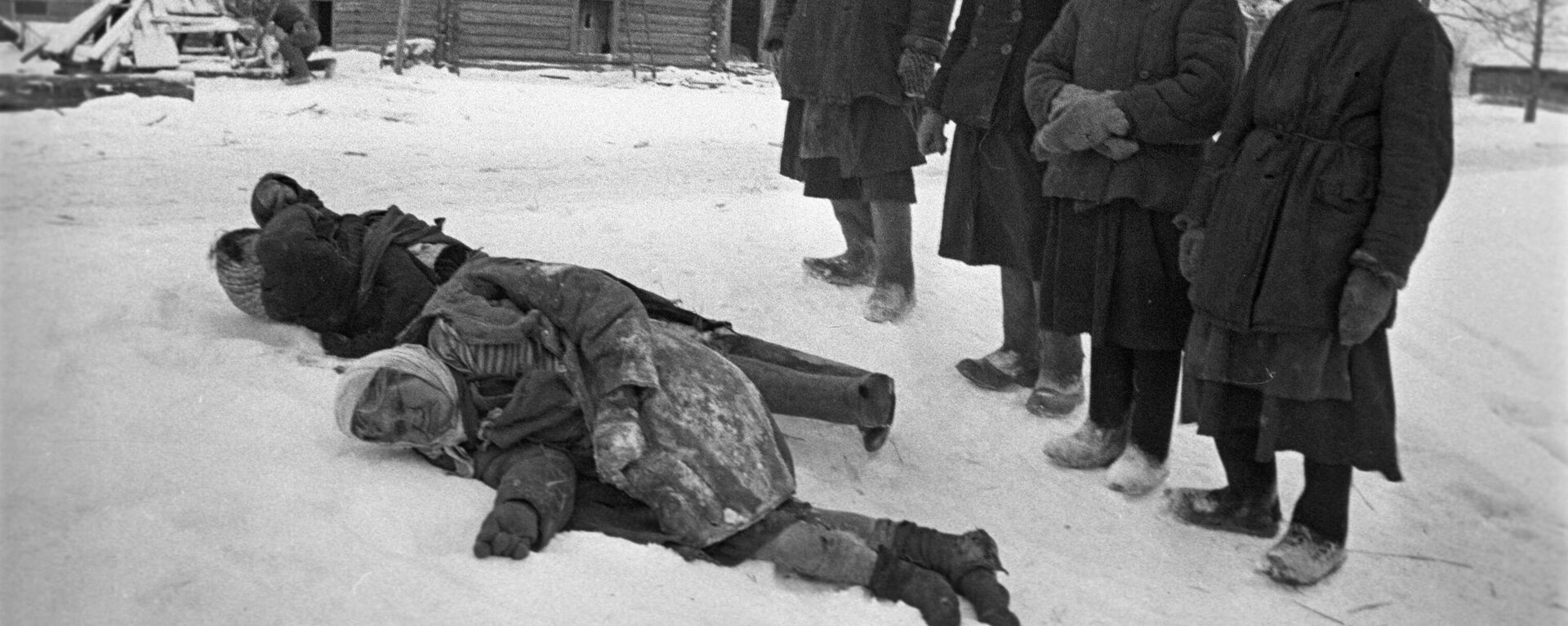 Registro da Grande Guerra pela Pátria (1941–1945). Os residentes dos vilarejos libertados das tropas hitleristas se deparam com os corpos dos civis pacíficos torturados pelos fascistas - Sputnik Brasil, 1920, 19.04.2024