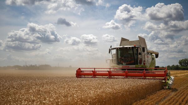 UE aumenta drasticamente suas importações de cereais e fertilizantes russos, aponta Eurostat