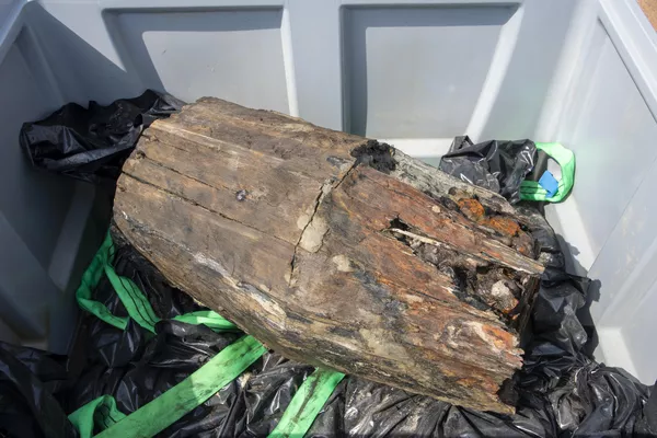 Fragmento de um barril do século XVI que foi recuperado de um naufrágio na costa da Suécia - Sputnik Brasil