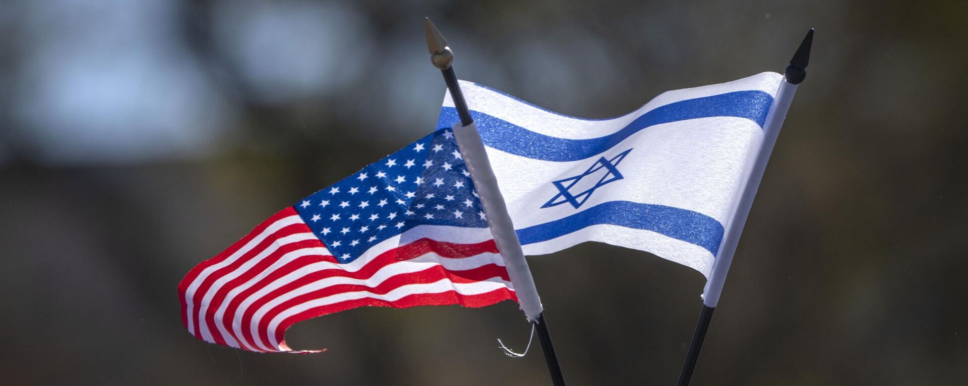 Bandeiras em miniatura dos EUA e de Israel em marcha por Israel em Washington, D.C. EUA, 14 de novembro de 2023 - Sputnik Brasil, 1920, 11.06.2024