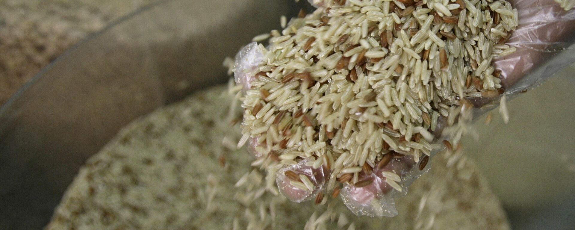 Arroz brasileiro. Referência. - Sputnik Brasil, 1920, 23.05.2026